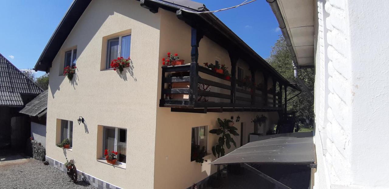 Pensiunea Casa Godja Văleni Екстериор снимка