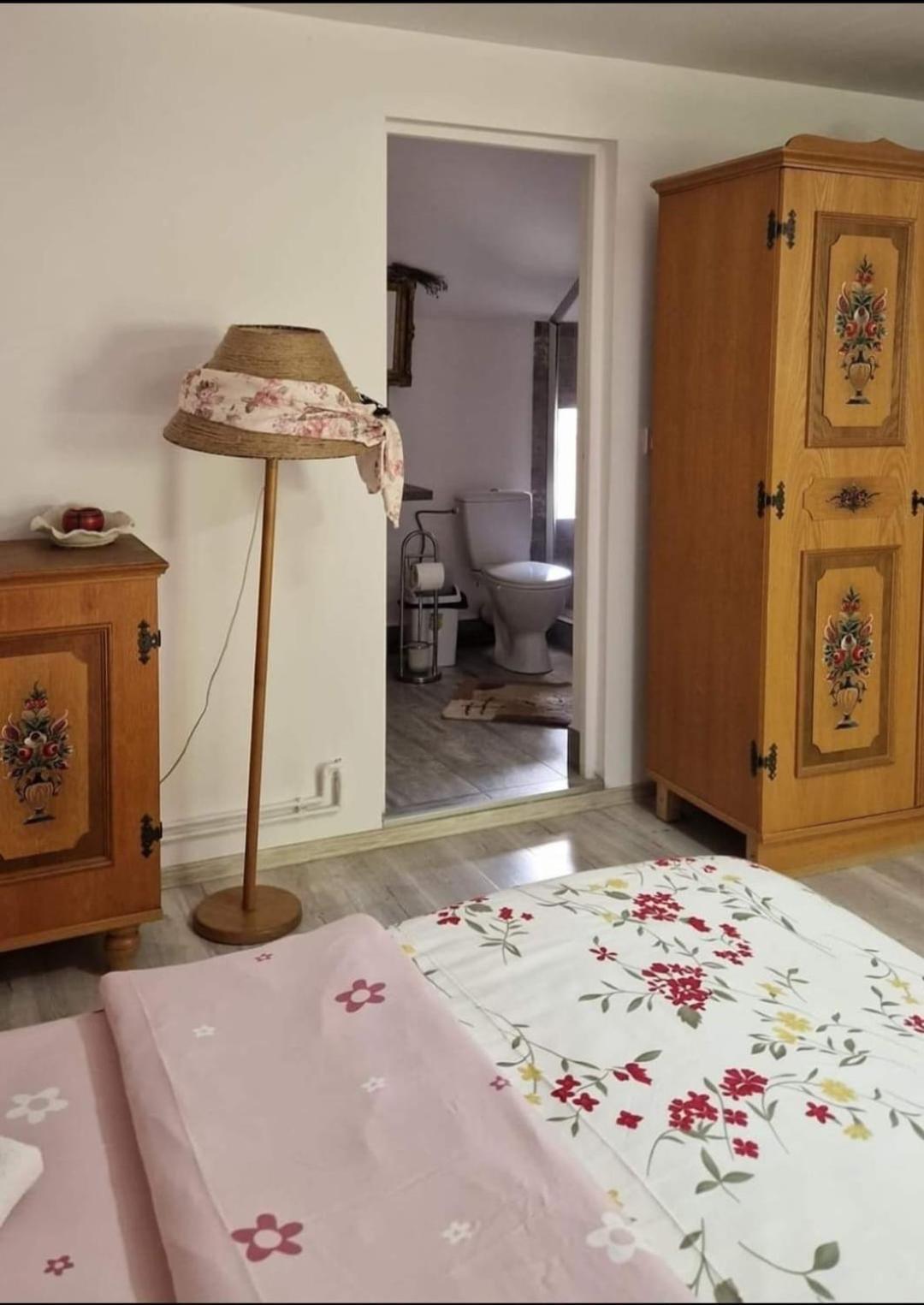Pensiunea Casa Godja Văleni Екстериор снимка