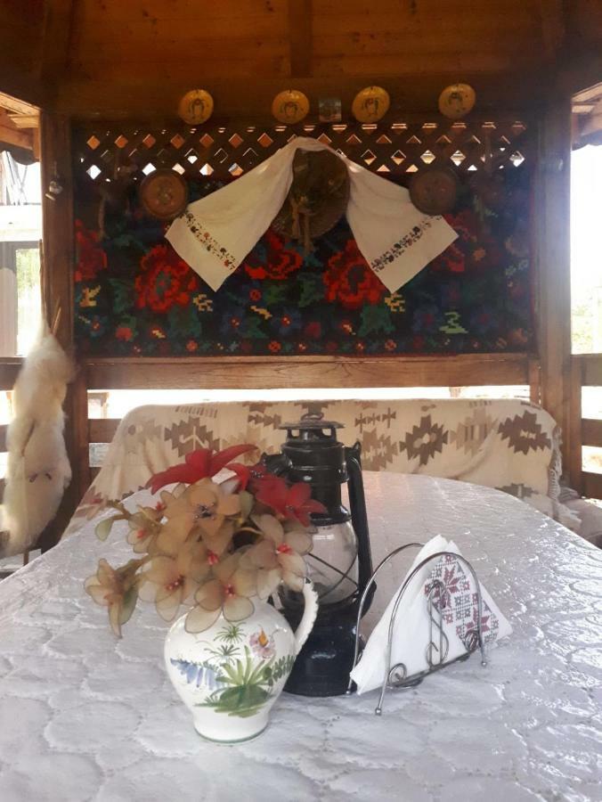 Pensiunea Casa Godja Văleni Екстериор снимка