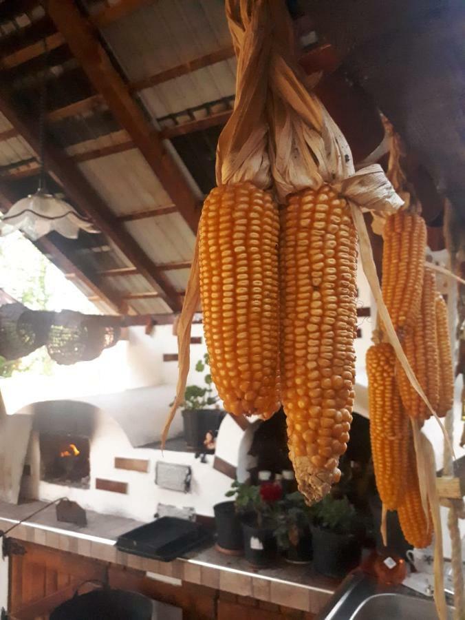 Pensiunea Casa Godja Văleni Екстериор снимка