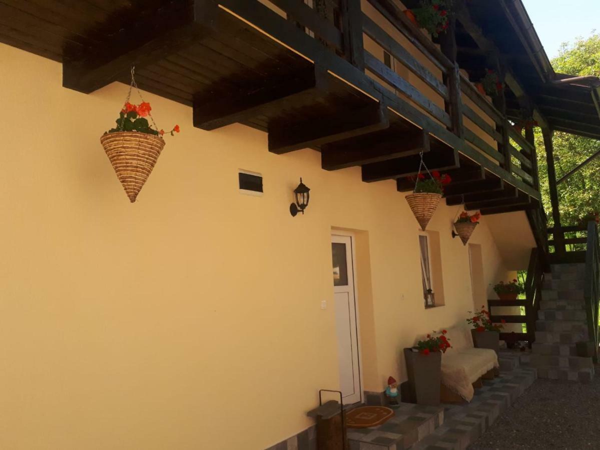 Pensiunea Casa Godja Văleni Екстериор снимка